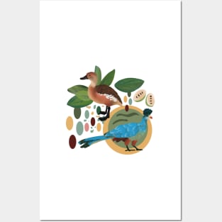 Great blue turacos and fulvous whistling ducks design Posters and Art
